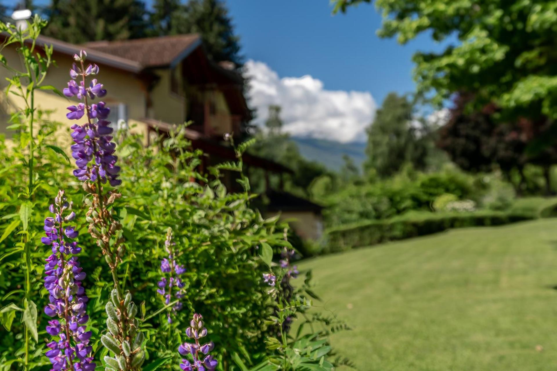 Hotel Bella di Bosco Malè Esterno foto